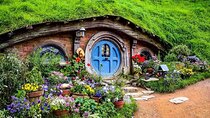 Hobbiton Movie Set Guided Tour small group from Auckland 
