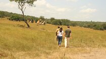 2 Day Lake Mburo National park wildlife Safari