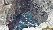 Kiama Blowholes, Sea Cliff Bridge and Royal National Park tour