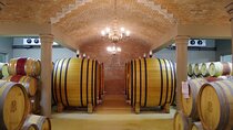 Wijntoer - Reserve tour with a winemaker! 