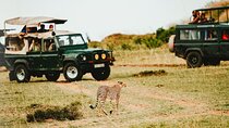 3 Days Serengeti & Ngorongoro Safari Tour