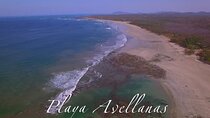 Shuttle From Liberia Airport To Playa Avellanas