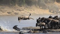 7 Days Northern Luxury Safari