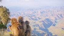 10 Days Simien Mountains Trekking, Adi Arkay via Ras Dashen 