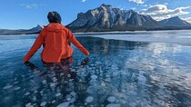 Lake Louise & Snow Fun Day Tour