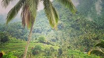 Bali : Customized 2 Days round Trip North Middle Bali 