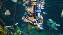 Xel-Ha Tickets with Transportation included