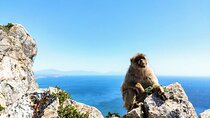 Premium private trip to Gibraltar from Seville (multiple options)