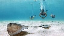 Snorkeling Experience on a NEMO Diving System