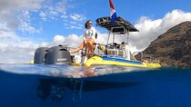 Wild Dolphin Watching and Snorkel Safari Off West Coast of Oahu