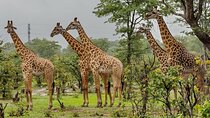 4 Day Garden Route tour from Cape Town + Addo National Park