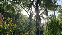 Personalized Private Tour Experience - Costa Rica