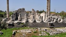 From Bodrum to Didyma, Priene, Miletus and Bafa Lake Private Full-Day Tour