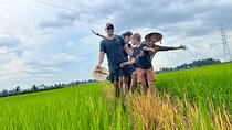Mekong Delta Day Trip: Explore Cycling & Cooking Classes at Farm 