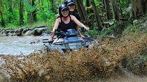 Bali Quad Bike ATV 250cc with Private Transport 