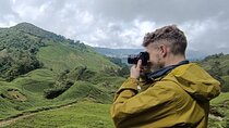 Cameron Highland Best Tour from Kuala Lumpur( Day Trip)