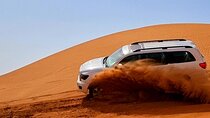 Professional Desert Safari with Camel Ride & BBQ in Bedouin Camp