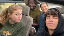 Dar es salaam Airport Transfer (Private & Group)