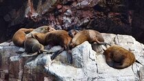 11 Days Exploring Peru Immersed in Machu Picchu