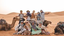 From Marrakech To Fez : Best Desert Adventure 3-Day