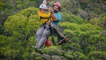 Combo Original Canopy (Tarzan Swing - Hanging bridges - Rappel & Climb tree