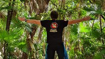 Scuba Diving in Cenote Dos Ojos from Playa del Carmen