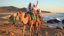 2x1 Tour: Cabo San Lucas Arch + Camels Ride + Pick up!