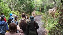 Arusha National Park (Best suited for family and walking safari)