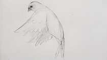 Introduction to Drawing