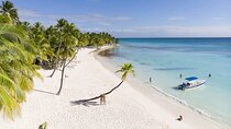 Saona Private Tour with Own Guide and Transport from Punta Cana