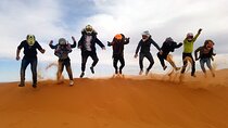 4-Day Desert Tour with 2-nights Glamping Experience: the Best for desert lovers