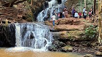 Karura Forest Nature Trail