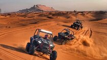 1-Hour Desert Buggy Self-Drive Adventure: Camel Ride & Sandboard