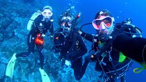 Bali Diving at Tanjung Benoa