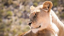 Day Trip to Selous Game Reserve from Zanzibar