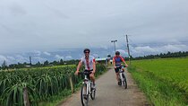 Private tour of Cycling to Mekong Delta in 1 day