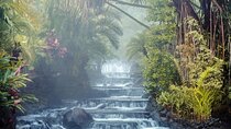 Private Shuttle To/From Liberia Airport and Tabacon Thermal Resort & Spa