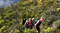 4 Day Table Mountain 13 Peaks Challenge