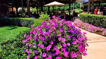 Temecula Wine Tour from Los Angeles