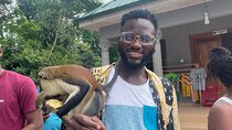 Wli Waterfalls, Mount Afadjato & Tafi Atome Monkey Sanctuary