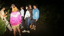 Síndria Twilight Walk through the Rainforest 