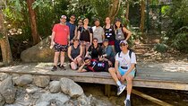 Palo María Waterfalls Hike Half-Day Tour