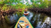 Fort Lauderdale Bonnet House Ground and Guided Paddle Board Kayak