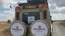 5 Days 4 Nights Lake Naivasha & Masai Mara Luxury Kenya Safari