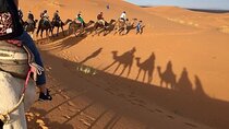 Desert excursion with camel trek into the camp Dinner breakfast 
