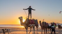 Half Day Marrakech Private Excursion