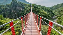 Private DMZ Peace Tour: 3rd Invasion Tunnel and Suspension Bridge