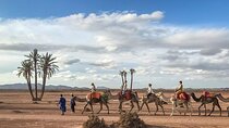 3 Hours Camel Ride and Quad Bike in Palmeraie
