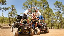 BUGGY TOUR VOLCANO TEIDE with wine degustation