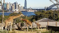 Taronga Zoo + Ferry Return Ticket